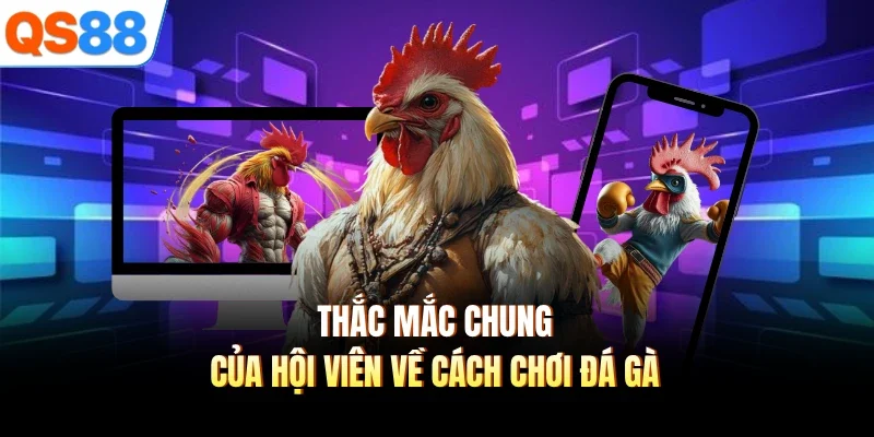 Thắc mắc chung của hội viên về cách chơi đá gà 